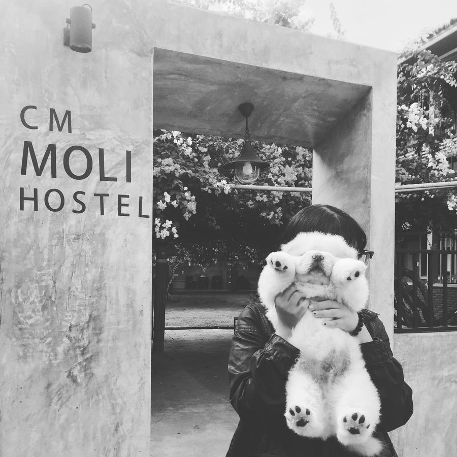 צ'יאנג מאי Chiangmai Moli Inn (Adults Only) מראה חיצוני תמונה